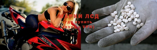 крисы Абаза