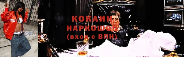 крисы Абаза