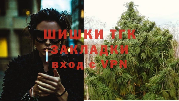 крисы Абаза