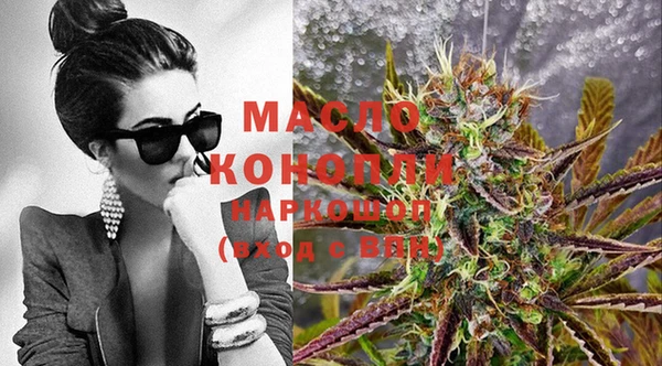 крисы Абаза
